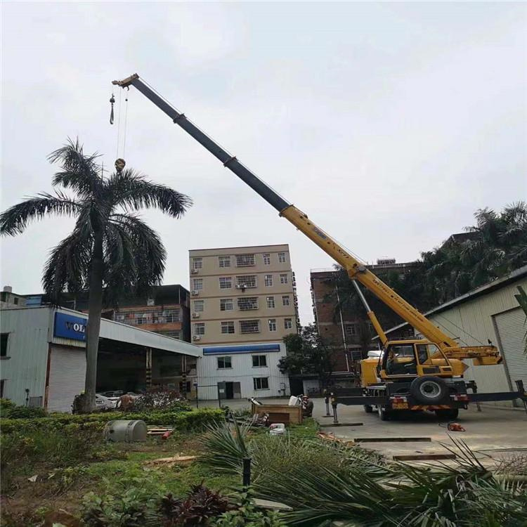 胡市镇汽车吊出租多少钱？全面解析与市场行情