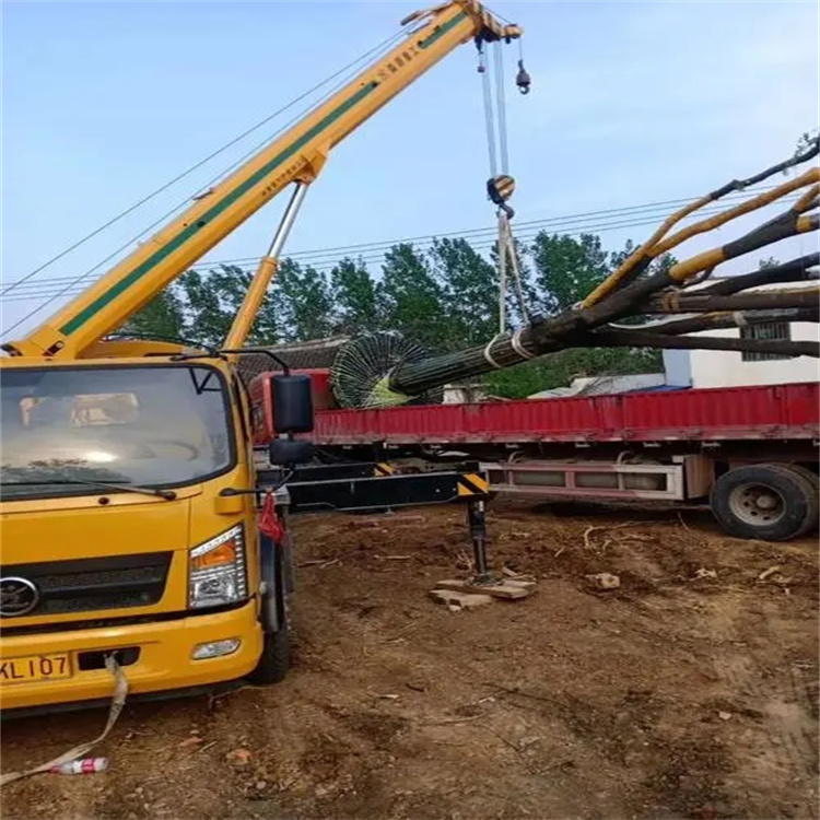 胡市镇100吨吊车租赁费用怎么算？3大关键因素+省钱技巧全解析